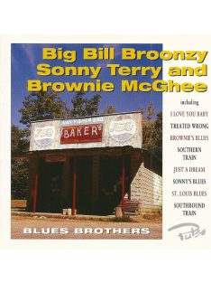   Big Bill Broonzy, Sonny Terry And Brownie McGhee* – Blues Brothers