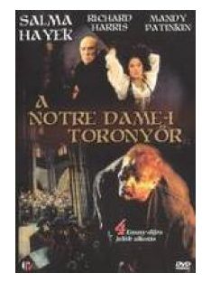 A Notre Dame-i toronyőr