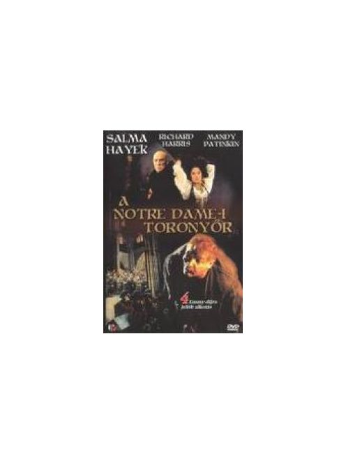 A Notre Dame-i toronyőr